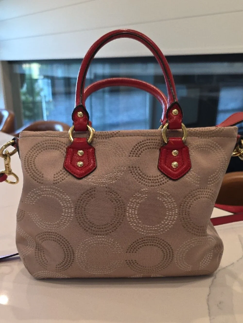 Coach F20343 Ashley Dotted Art Mini Tote